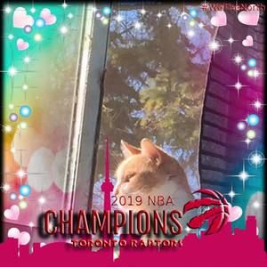 Meet your Posher, Connie